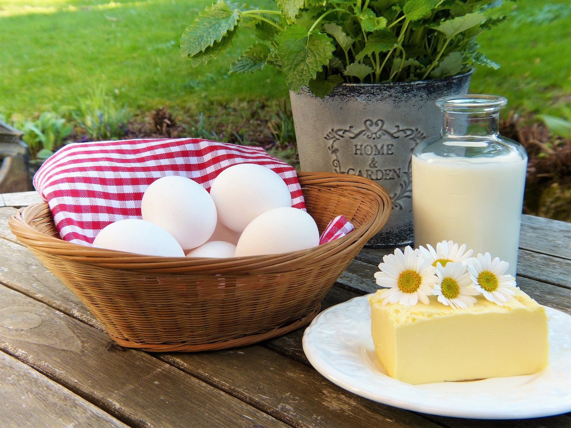 Foto de leche, queso, huevos , en un fondo campestre