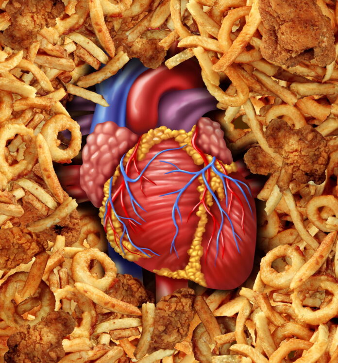 El colesterol es una sustancia grasa que se encuentra en el cuerpo humano y es esencial para la producción de hormonas, la formación de células y el metabolismo de las grasas.