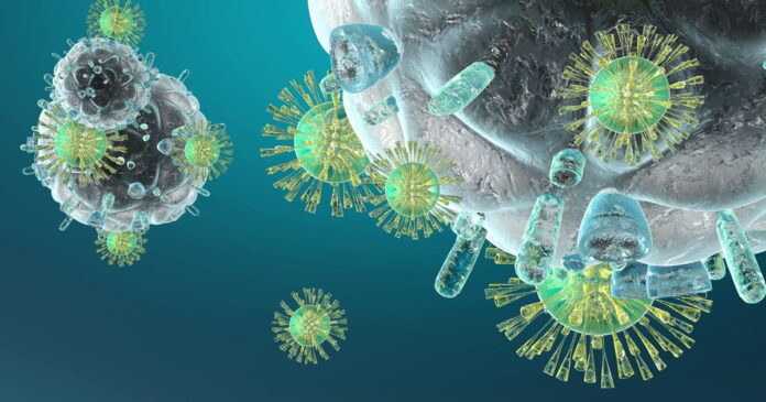 Como fortalecer nuestro sistema inmune y elevar las defensas - Image: CancerCenter.com